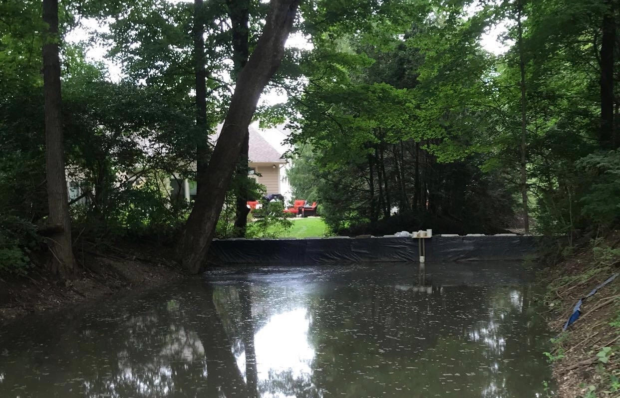 Muck Sediment Removal